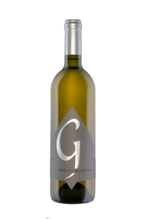 Grüner Veltliner Harterberg Jhg. 2023, Alk. 13,5 vol%, trocken
